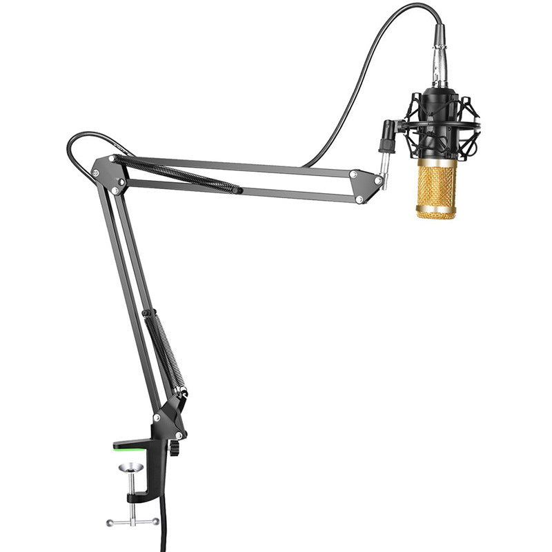 Adjustable microphone stand set professional with a gold mic, ideal for studio recording and broadcasting