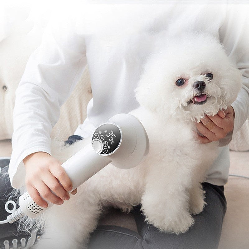 Smart pet hair dryer gently drying a fluffy white dog while being comfortably held by a person