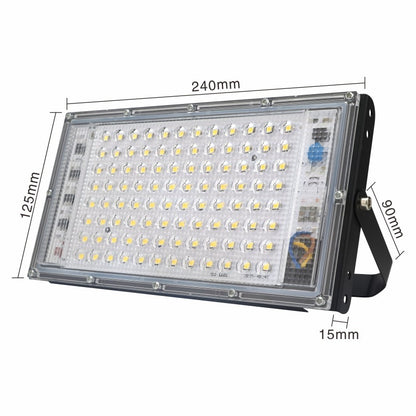 Outdoor LED light