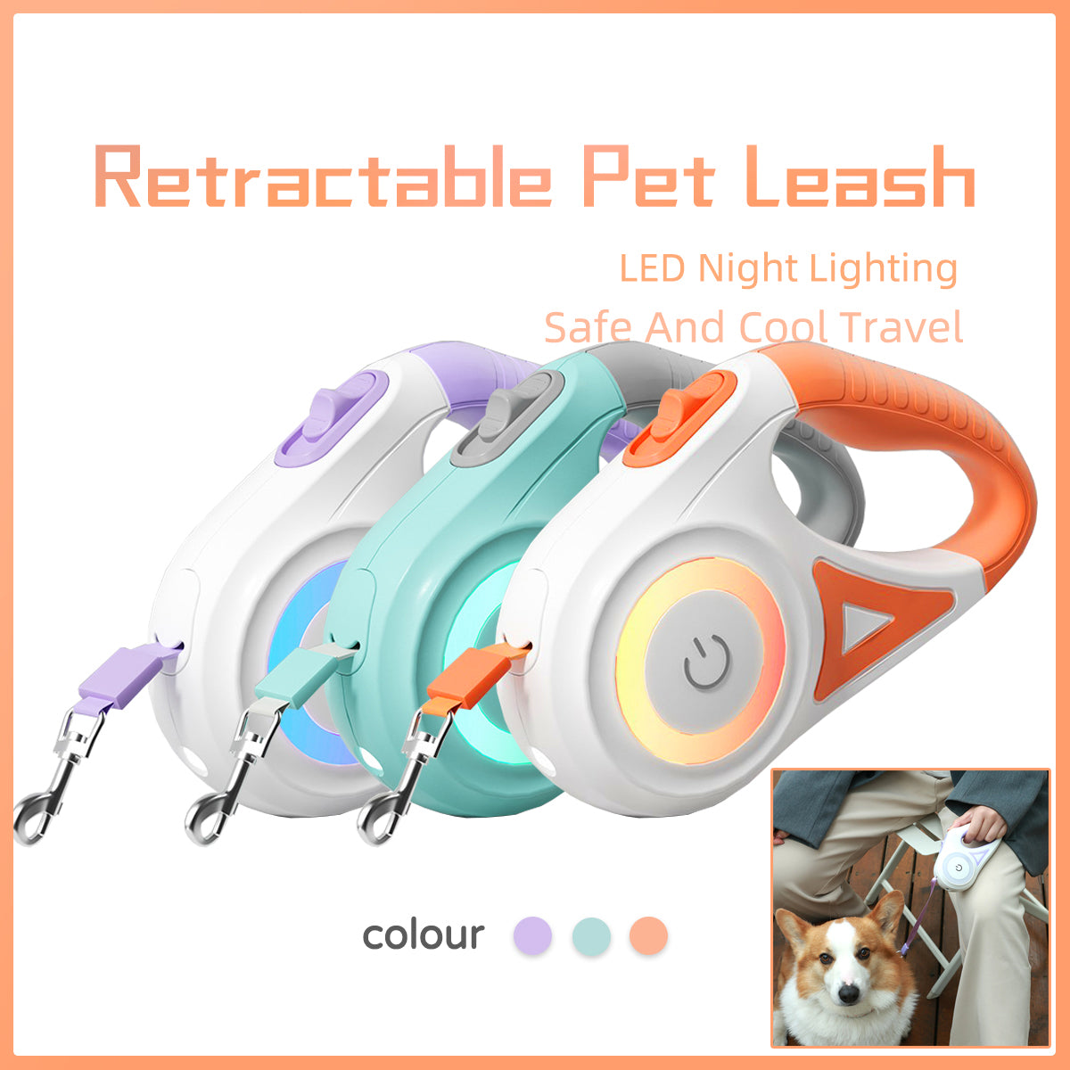 Retractable Leash Collar